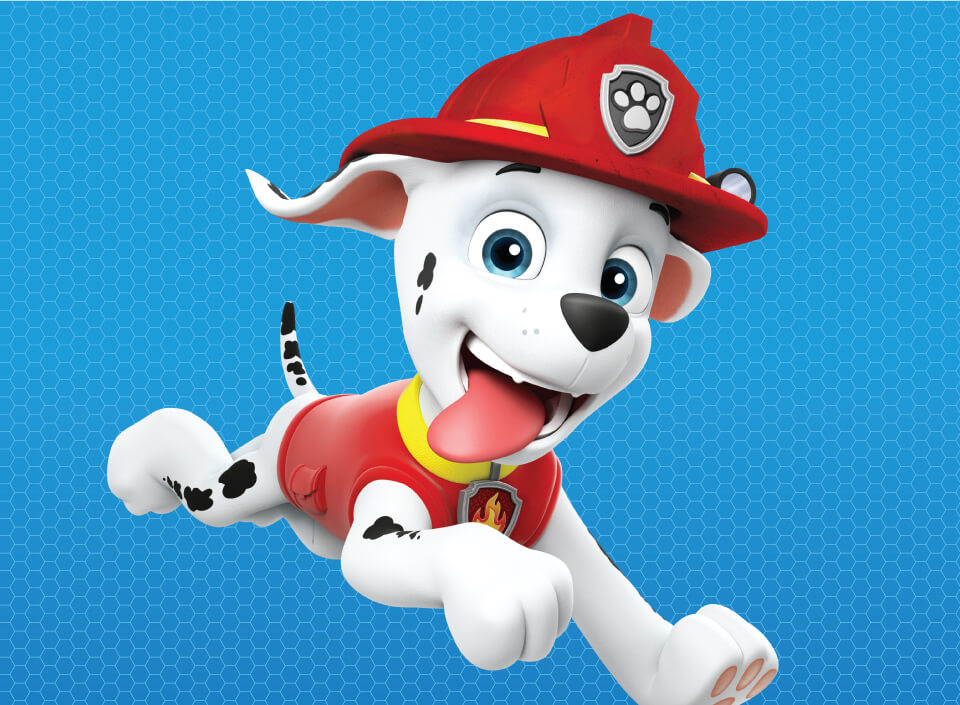 Paw patrol cheap characters marshall