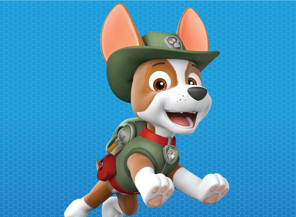 PAW Patrol Live Heroes Unite Show Details Characters More