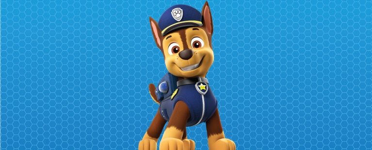 Paw patrol characters store chase