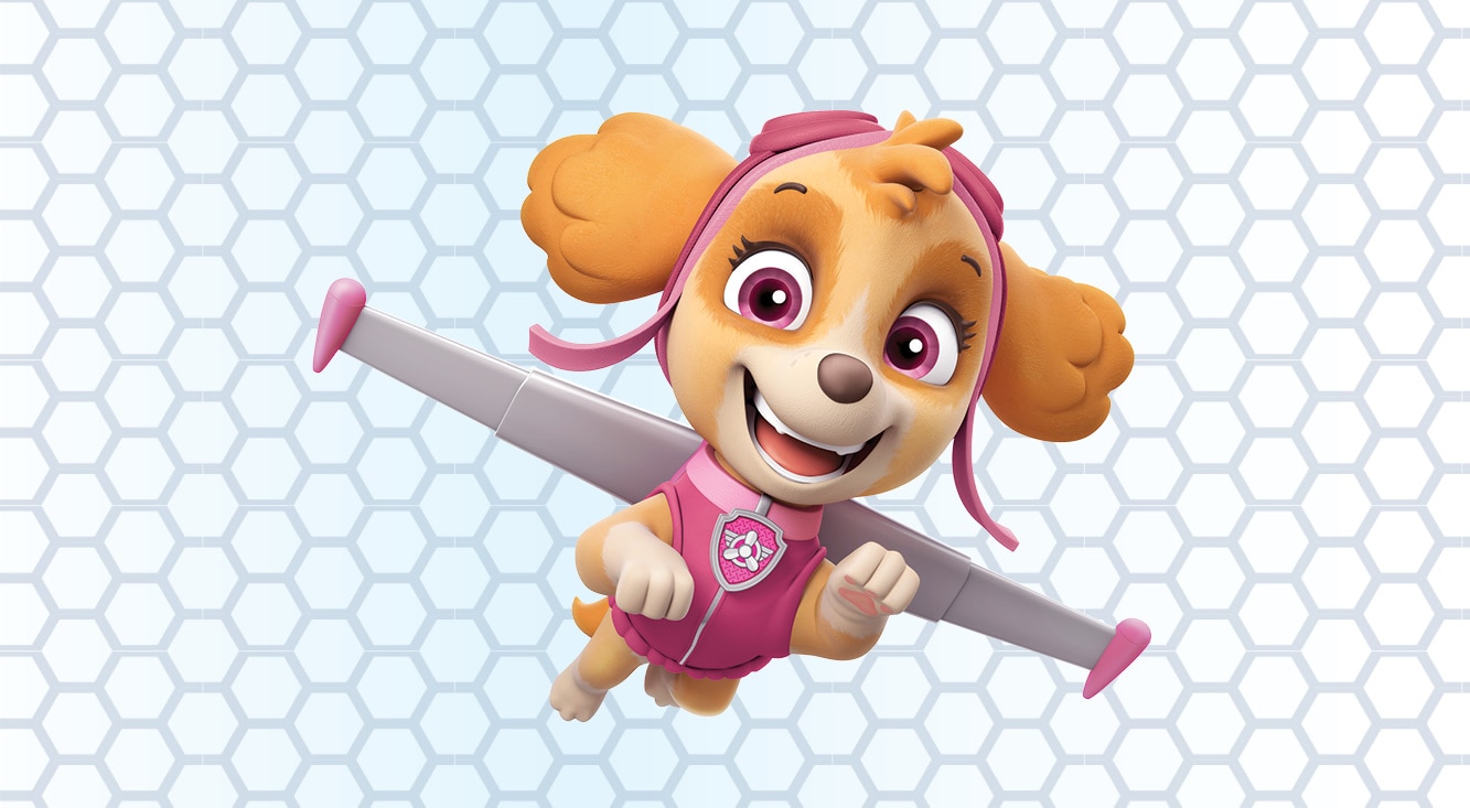 paw patrol characters skye