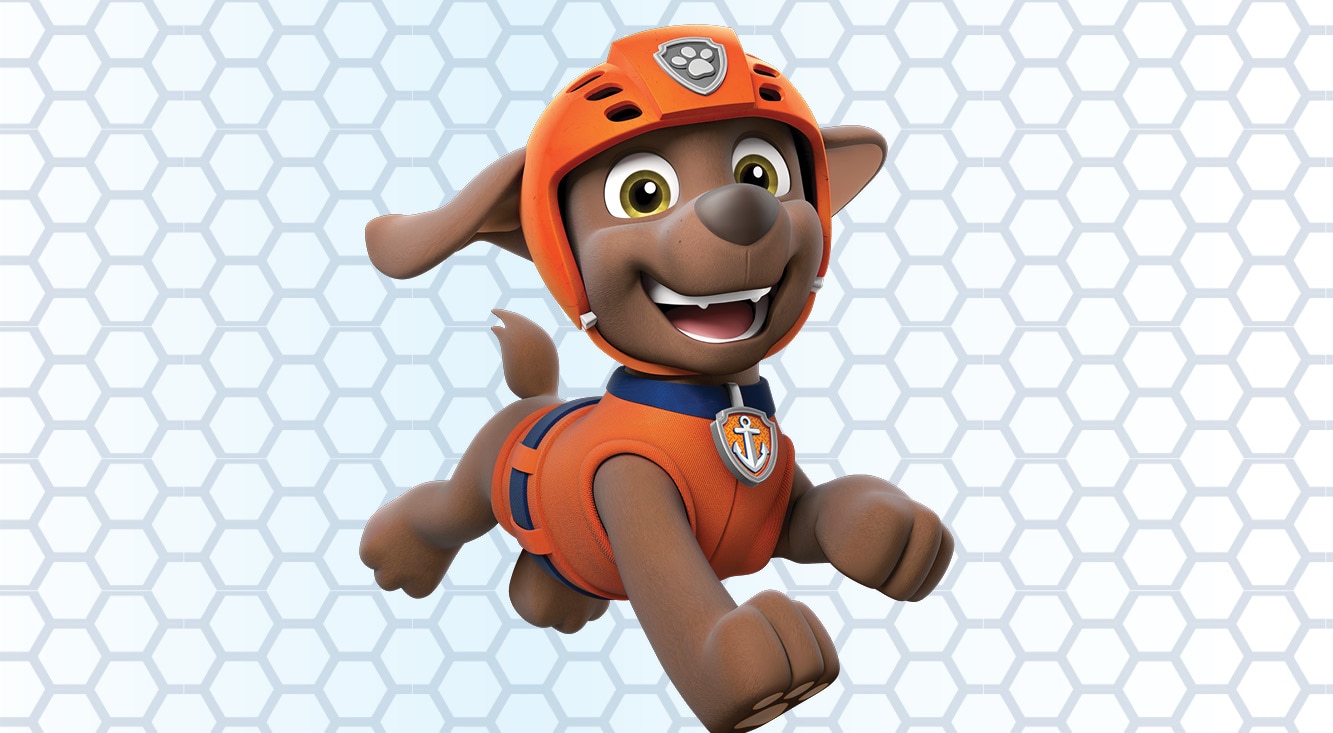 paw patrol characters chase