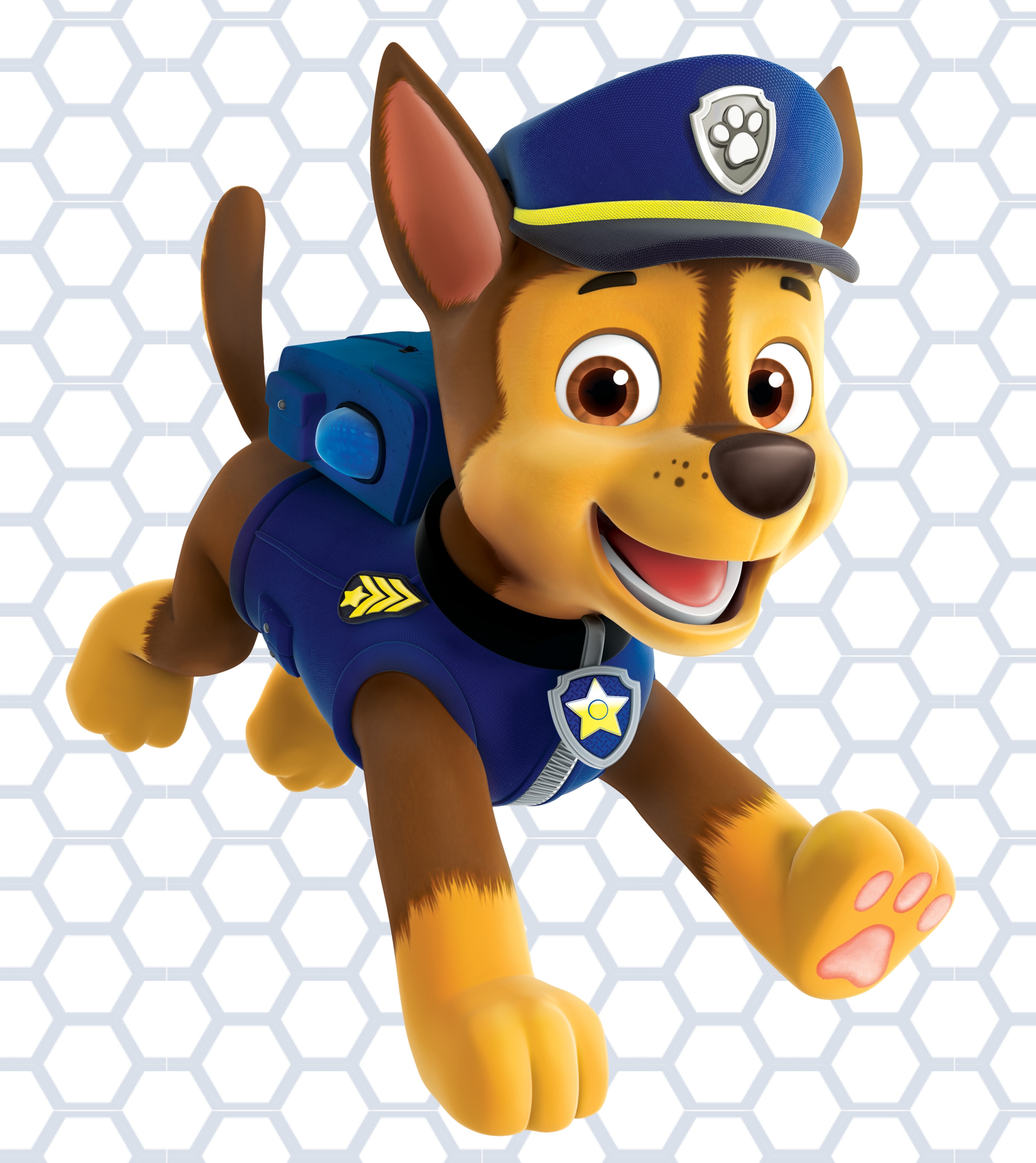paw-patrol-live-race-to-the-rescue-tickets-show-details-more